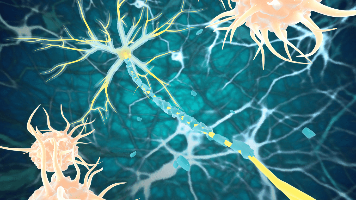 illustration of a neuron in the brain