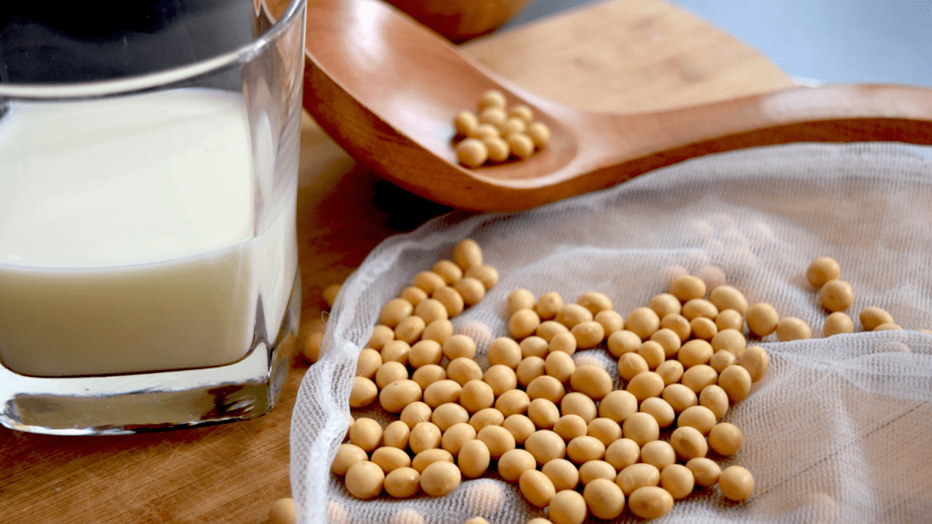 soy milk in a glass and soy beans on a wooden table