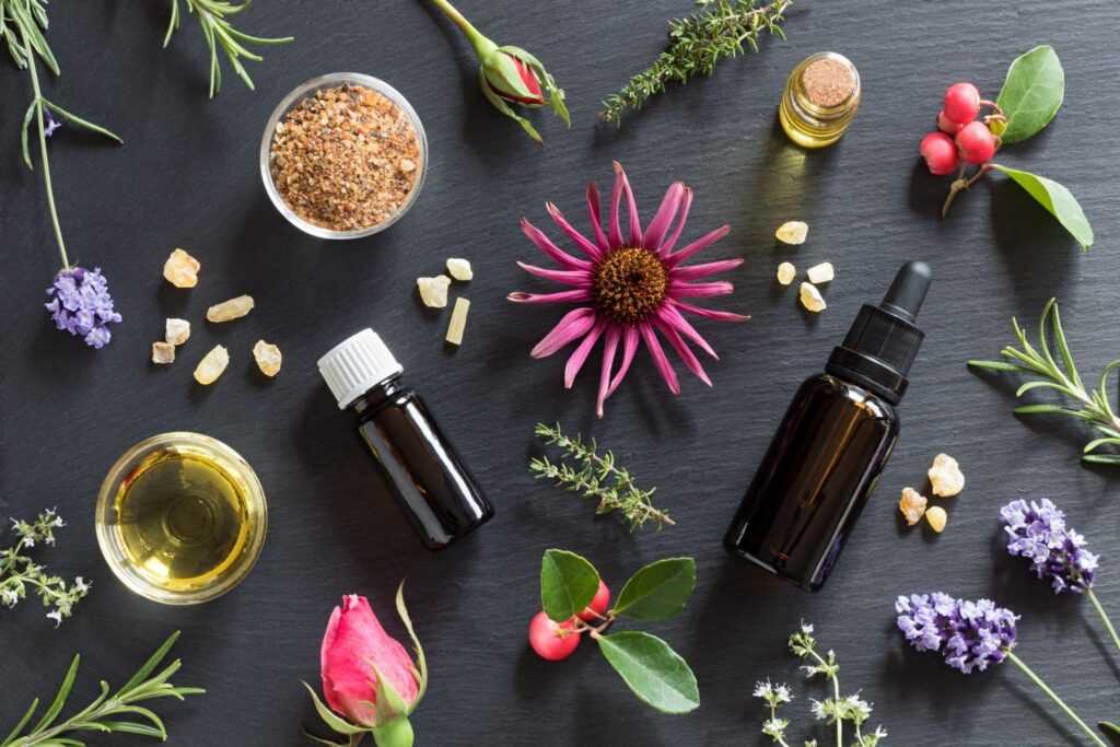 An assortment of lemon, rosemary, thyme, and other items used to make essential oils at home.