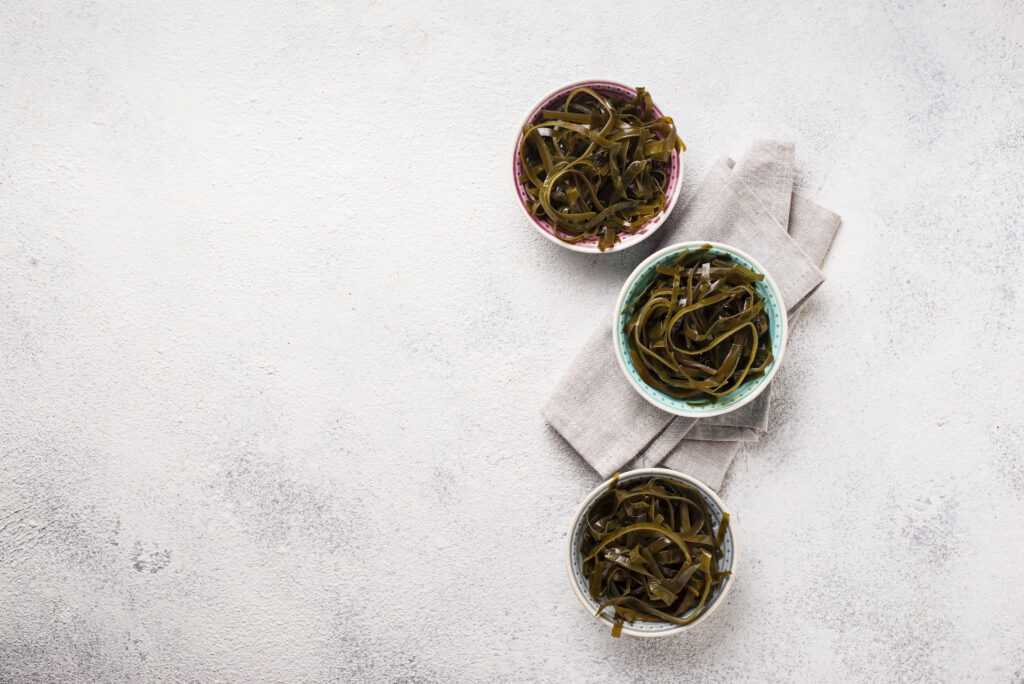 Why Sea Moss Is the Superfood Everyone’s Talking About – And How It Can Support Your Health Naturally