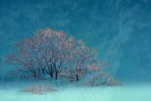 face framing layered fine hair medium length hairstyles