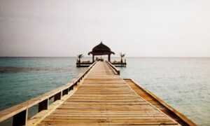 constraint on bavayllo