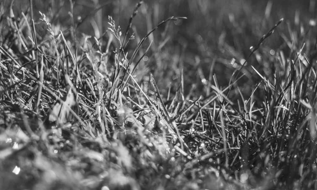 hotels to stay at zethazinco island