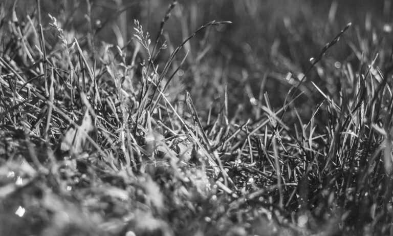 hotels to stay at zethazinco island