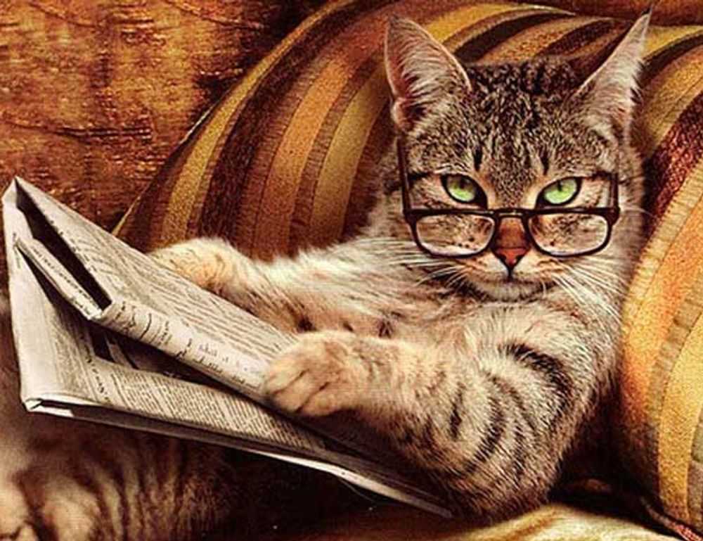 how to update endbugflow software on pc