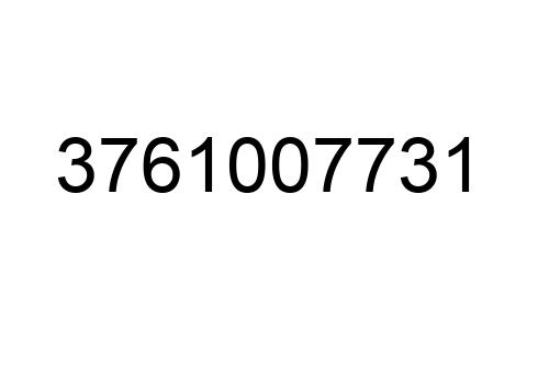 3761007731