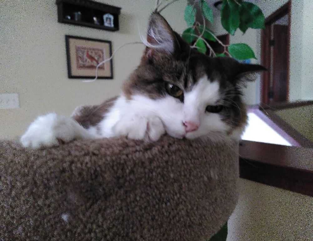 cute girly_m 3 best friends