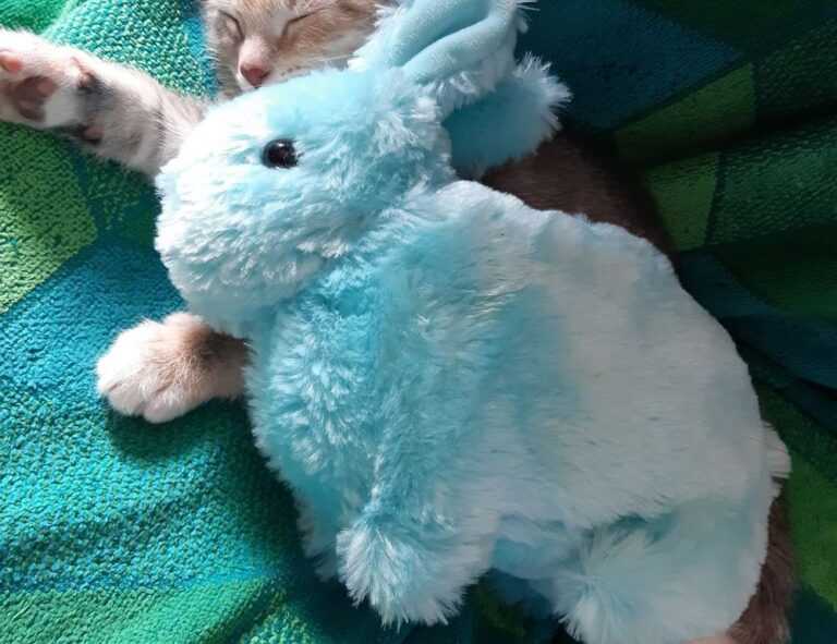 dibujos de flores a lapiz tumblr