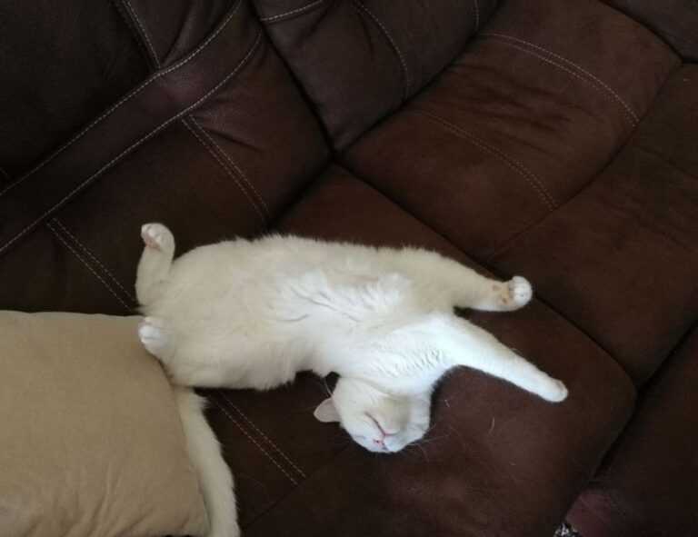 kerri gribble only fans leak