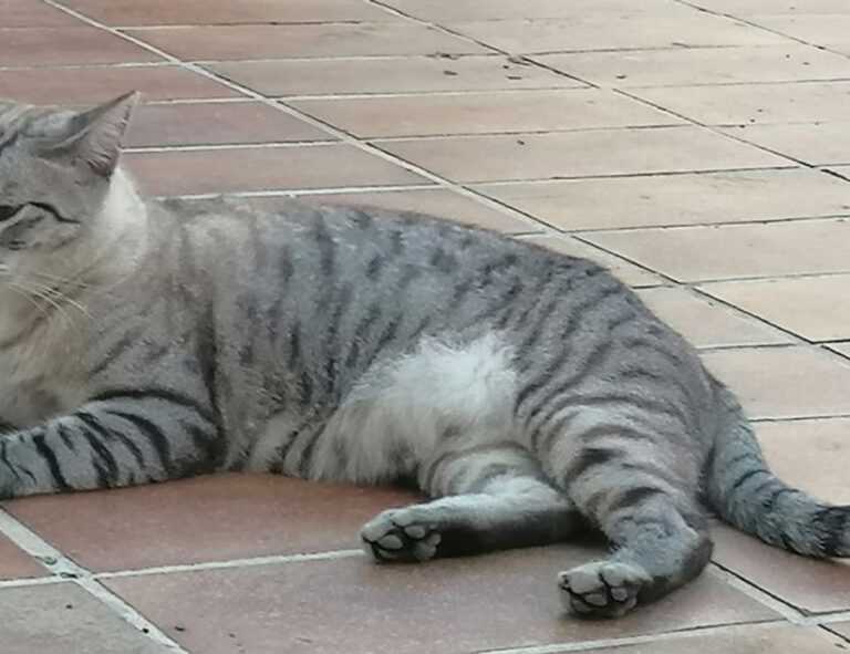 lauren alexis leaked of