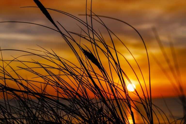 mia bailey leaked onlyfans