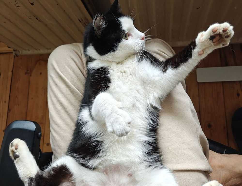 miss marie elisabeth onlyfans