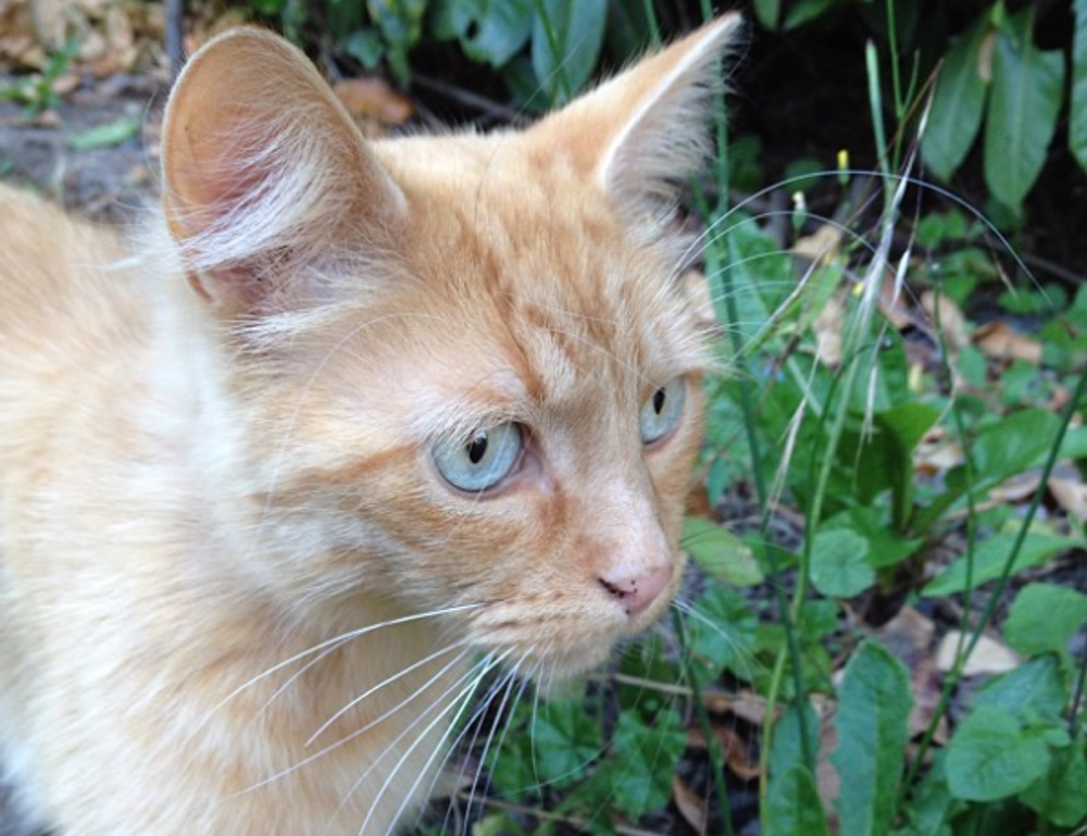 naughtynina001 leaked