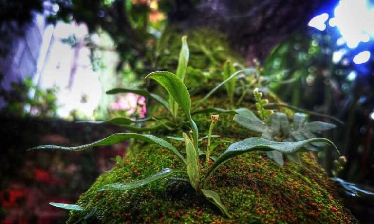 vegeta goku con ropa nike