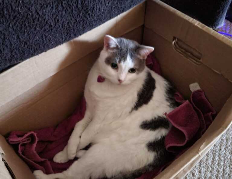 whatsapp frases tristes para llorar