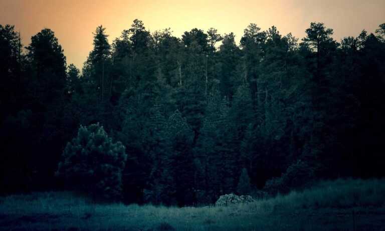 wirid hari senin sampai minggu