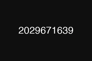 2029671639