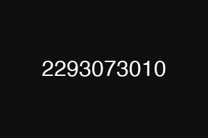 2293073010