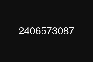 2406573087