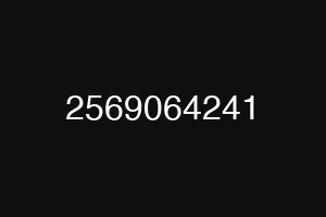 2569064241