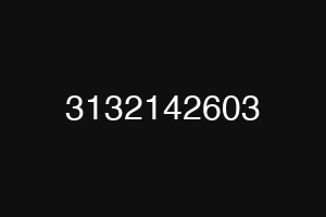 3132142603