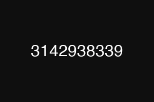 3142938339