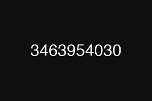 3463954030
