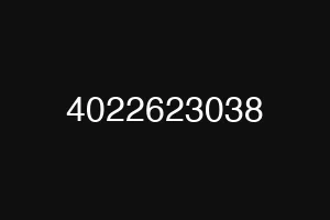 4022623038