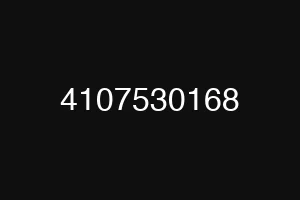 4107530168