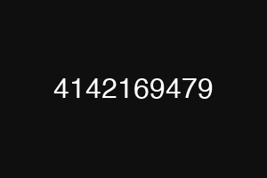 4142169479