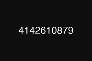 4142610879
